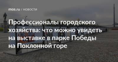 Профессионалы городского хозяйства: что можно увидеть на выставке в парке Победы на Поклонной горе - mos.ru - Москва - Россия