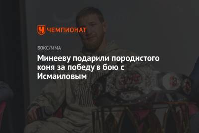 Магомед Исмаилов - Владимир Минеев - Минееву подарили породистого коня за победу в бою с Исмаиловым - championat.com - Россия - Пятигорск