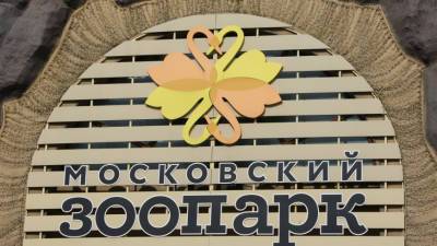 Заботливые родители: в День отца в Московском зоопарке рассказали о папах-самцах - mir24.tv - Россия