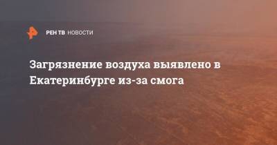 Загрязнение воздуха выявлено в Екатеринбурге из-за смога - ren.tv - Екатеринбург