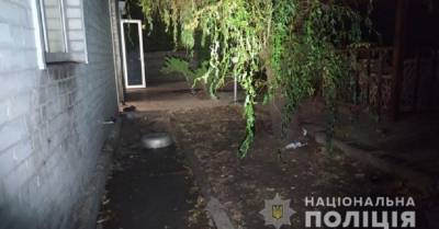 В Харькове пожилую женщину загрызли насмерть собственные собаки - kp.ua - Украина - Харьков