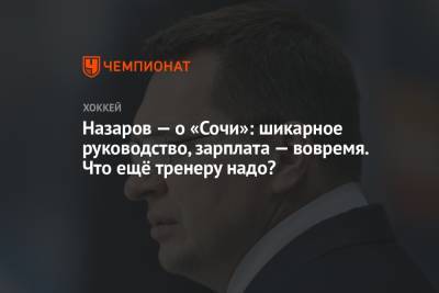 Андрей Назаров - Назаров — о «Сочи»: шикарное руководство, зарплата — вовремя. Что ещё тренеру надо? - championat.com - Сочи - Челябинск