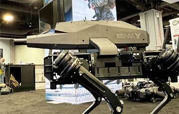 В США робота-пса вооружили снайперской винтовкой - charter97.org - США - Белоруссия - шт.Флорида