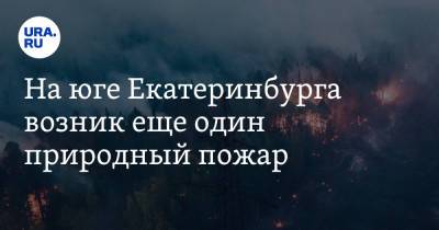На юге Екатеринбурга возник еще один природный пожар - ura.news - Екатеринбург - Свердловская обл.