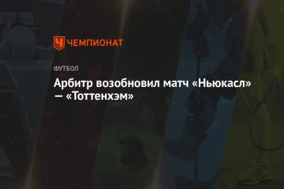 Гарри Кейн - Арбитр возобновил матч «Ньюкасл» — «Тоттенхэм» - championat.com