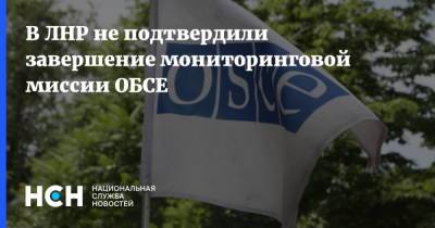 Яшар Халит Чевик - В ЛНР не подтвердили завершение мониторинговой миссии ОБСЕ - nsn.fm - Украина - Донецк - ЛНР - Луганск
