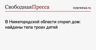 В Нижегородской области сгорел дом: найдены тела троих детей - svpressa.ru - Нижегородская обл. - Албания