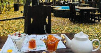 Чаепитие в осеннем парке вызвало умиление у россиян - moslenta.ru - Москва - Стамбул