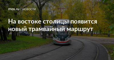 На востоке столицы появится новый трамвайный маршрут - mos.ru - Москва