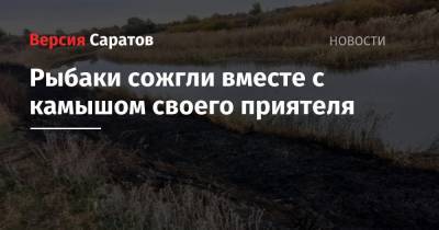 Рыбаки сожгли вместе с камышом своего приятеля - nversia.ru - Саратовская обл.