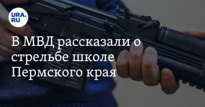 В МВД рассказали о стрельбе школе Пермского края - ura.news