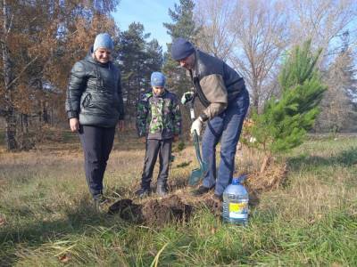 Александр Савельев - Более 30 новосибирцев посадили своё дерево в сквере «Зелёный остров» - sib.fm - Россия - Новосибирск