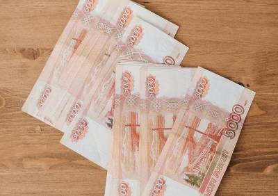 В России вырастет максимальный размер пособия по уходу за ребенком - ya62.ru - Россия