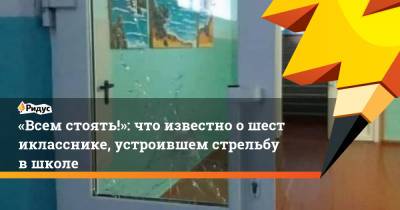 «Всем стоять!»: что известно ошестикласснике, устроившем стрельбу вшколе - ridus.ru - Пермский край