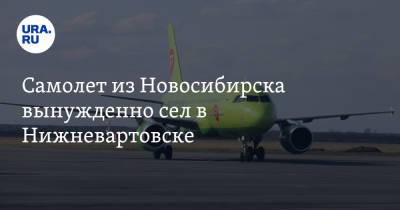 Самолет из Новосибирска вынужденно сел в Нижневартовске - ura.news - Новосибирск - Югра - Нижневартовск - Норильск