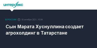 Марат Хуснуллин - Сын Марата Хуснуллина создает агрохолдинг в Татарстане - smartmoney.one - Москва - респ. Татарстан