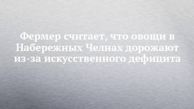 Фермер считает, что овощи в Набережных Челнах дорожают из-за искусственного дефицита - chelny-izvest.ru - Набережные Челны