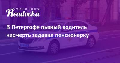 В Петергофе пьяный водитель насмерть задавил пенсионерку - readovka.news - Нижний Новгород