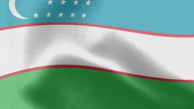 Сергей Лебедев - Миссия СНГ: Избирательная кампания на выборах в Узбекистане проходит конкурентно - mir24.tv - Узбекистан