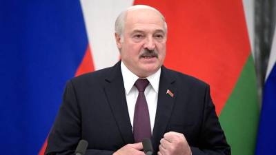 Александр Лукашенко - Лукашенко ожидает новых протестов во время референдума по конституции - vm.ru - Белоруссия - Конституция