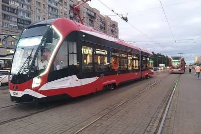 Общественный транспорт Петербурга начнет фиксировать выезд машин на выделенные полосы для автобусов - spb.mk.ru - Санкт-Петербург