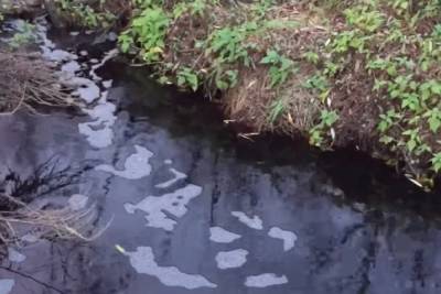 Ярославцы напомнили новому главе региона о черной воде у Скоково - yar.mk.ru - Ярославль