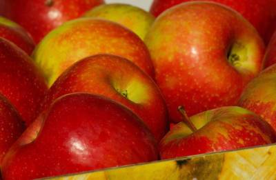 Цены на яблоки опустились до трехлетнего минимума - agroportal.ua - Украина