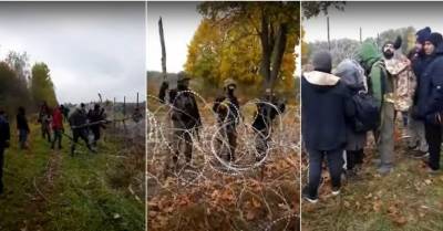 Александр Лукашенко - ВИДЕО: Мигранты штурмуют заграждения на белорусско-польской границе - rus.delfi.lv - Белоруссия - Польша - Латвия
