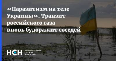 Юрий Витренко - «Паразитизм на теле Украины». Транзит российского газа вновь будоражит соседей - nsn.fm - Украина