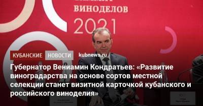 Вениамин Кондратьев - Дмитрий Патрушев - Губернатор Вениамин Кондратьев: «Развитие виноградарства на основе сортов местной селекции станет визитной карточкой кубанского и российского виноделия» - kubnews.ru - Австрия - Россия - Краснодарский край - Италия - Франция - Сербия