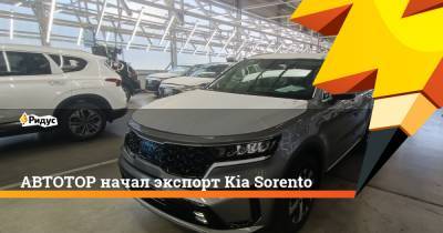 Kia Sorento - АВТОТОР начал экспорт Kia Sorento - ridus.ru - Белоруссия - Калининград - Santa Fe
