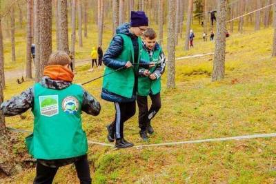 Новая экотропа появилась в природном заказнике Лужского района - mk.ru - Ленинградская обл.