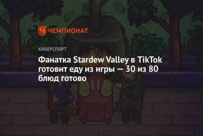 Фанатка Stardew Valley в TikTok готовит еду из игры — 30 из 80 блюд готово - championat.com