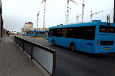 Брянчанка пожаловалась на срыв графика муниципальных автобусов - mk.ru - Брянск