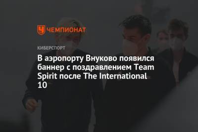 Дмитрий Свищев - Светлана Журова - В аэропорту Внуково появился баннер с поздравлением Team Spirit после The International 10 - championat.com - Москва - Россия