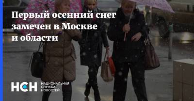 Первый осенний снег замечен в Москве и области - nsn.fm - Москва - Зеленоград