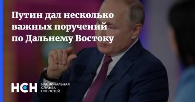 Владимир Путин - Путин дал несколько важных поручений по Дальнему Востоку - nsn.fm - Россия - Хабаровский край - Дальний Восток