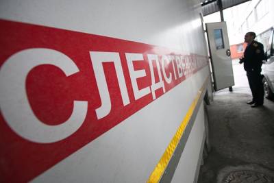 СК возбудил уголовное дело после гибели петербургского киберспортсмена - znak.com - Россия - Ленинградская обл.