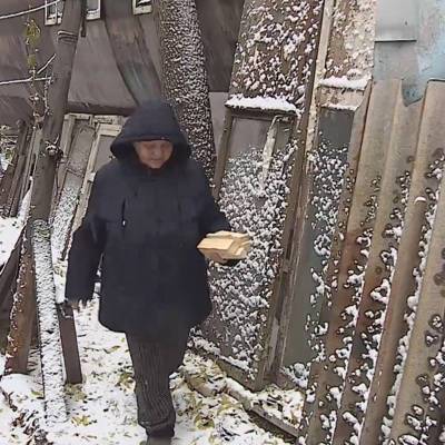Александр Бастрыкин - Омичка, которая 35 лет живет в железной ржавой бочке, согласилась переехать - radiomayak.ru - Омск