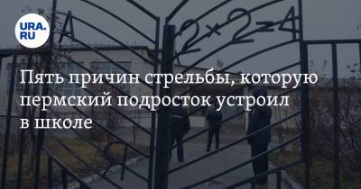 Пять причин стрельбы, которую пермский подросток устроил в школе - ura.news - Россия - Пермский край