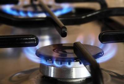 Более 80 тысяч домовладений газифицируют в Ленинградской области - online47.ru - Россия - Ленинградская обл.