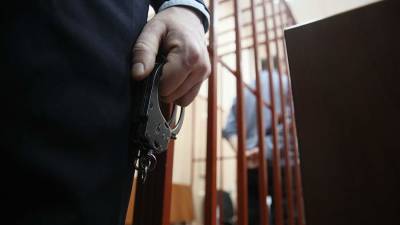 В Подмосковье мужчину приговорили к 12 годам колонии за покушение на сбыт наркотиков - iz.ru - Израиль - Московская обл.