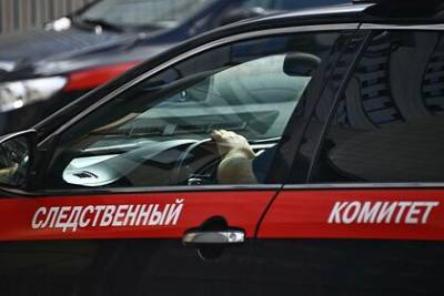 Установлена предполагаемая убийца девочки в Вологде - lenta.ru - Россия - Вологда - республика Карелия