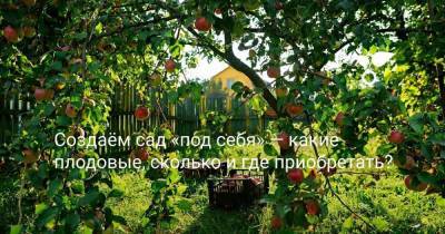 Создаём сад «под себя» — какие плодовые, сколько и где приобретать? - skuke.net