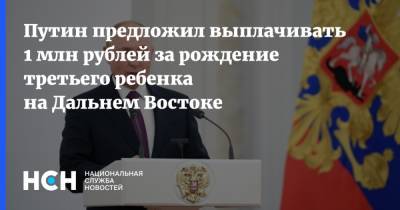 Владимир Путин - Путин предложил выплачивать 1 млн рублей за рождение третьего ребенка на Дальнем Востоке - nsn.fm - Россия - окр. Дальневосточный - Дальний Восток