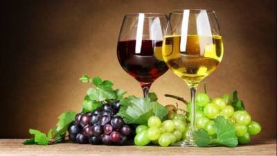 На Кубани выбрали лучшие вина России на десятом саммите виноделов - 5-tv.ru - Россия