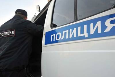 Полиция нашла пропавших в Красноярском крае 11-летних девочек - lenta.ru - Красноярский край - Вологда