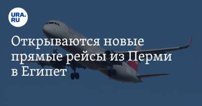 Открываются новые прямые рейсы из Перми в Египет - ura.news - Россия - Египет - Пермь