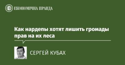 Как нардепы хотят лишить громады прав на их леса - epravda.com.ua - Украина