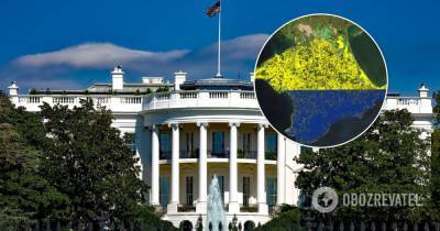 США опубликовали видео в поддержку Украины с перевернутым флагом - obozrevatel.com - Россия - США - Украина - Вашингтон - Крым - Twitter